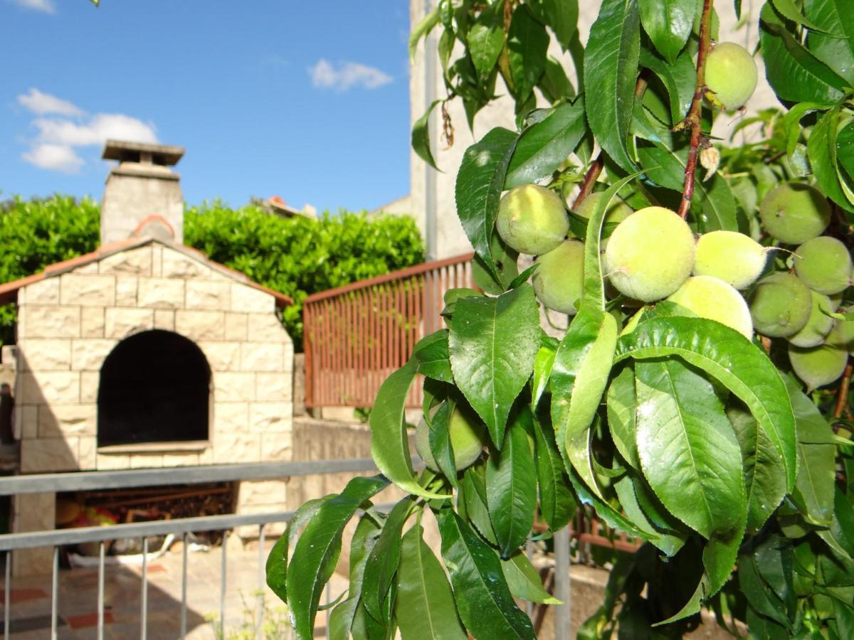 Apartmani Mara Rogoznica روغوزنيكا المظهر الخارجي الصورة